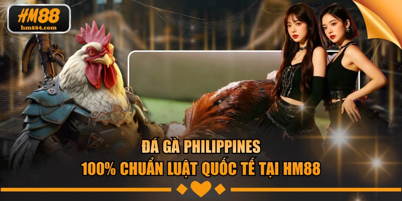 Đá Gà Philippines | 100% Chuẩn Luật Quốc Tế Tại HM88 Đá gà philippines