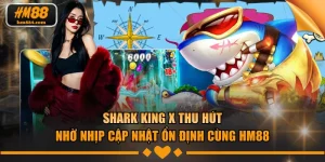 Shark King X